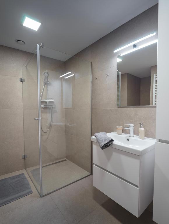 Apartment Brno-Poděbradova - 17